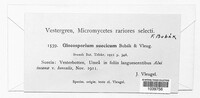 Image Associated With the Occurence
